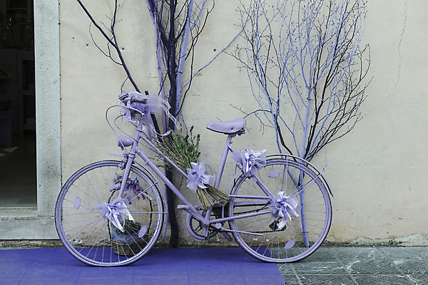 포토 JPG 해외이미지 식물 라이프스타일 디자인 꽃 도로 벽 분홍색 꽃다발 여행 백그라운드 꽃무늬 일러스트 교통시설 자연 거리 사람없음 야외 장식 초록색 여름 컬러풀 바구니 자전거 보라색 봄 수확 흰색 신선 도시 바퀴 제비꽃 묘사 질감 복고 순환 라벤더 라일락 내추럴 옛날 스타일 해외202004 해외포토 계절 길 컬러 교통 무늬 농업 모션 생활 바이크 허브 시설 생태계 파일형식 이미지허브