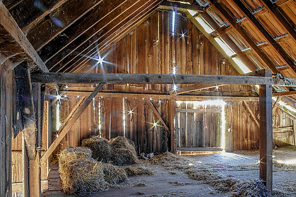 포토 JPG 해외이미지 외관 벽 백그라운드 밭 농업 건축양식 자연 하늘 주택 흑백 풍경 사람없음 야외 내부 건물 목재 여름 빛 농가 농장 문 목장 방 수확 골동품 시골 땅 버리기 복고 캘리포니아 헛간 외양간 그런지 깨짐 밭일 썩음 옛날 판잣집 해외202004 해외포토 나무 건축물 계절 건축 산업 컨셉 재료 모션 촬영기법 미국 생태계 저장고 파일형식 이미지허브