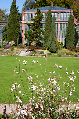 포토 JPG 해외이미지 나무 공원 꽃 건축양식 창문 유리 하늘 독일 손바닥 사람없음 야외 건물 빨간색 세로 파란색 햇빛 정원 맑음 흰색 시골집 아이비 온실 해외202004 해외포토 식물 건축물 손 공공시설 건축 유럽 컬러 재질 날씨 주택 태양 파일형식 이미지허브