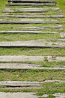 포토 JPG 해외이미지 공원 도로 길 선 백그라운드 자연 휴식 벽돌 동양인 잔디 사람없음 야외 목재 초록색 평화 정원 화목 봄 산책 안개 시골 오솔길 방향 원예 단계 내추럴 뒤뜰 루트 방법 영원 해외202004 해외포토 나무 식물 계절 공공시설 컬러 컨셉 재료 교통시설 날씨 인종 취미 생태계 파일형식 이미지허브