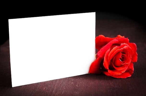 포토 JPG 해외이미지 식물 기념일 꽃잎 꽃 종이 꽃다발 결혼 백그라운드 컨셉 텍스트 자연 발렌타인데이 선물 사랑 사람없음 목재 빨간색 장미 꼬리표 라벨 우주 쪽지 공백 벚꽃 흰색 축하 인사 신선 신용카드 메시지 다발 사인 기회 초대 내추럴 옛날 특별함 많음 카피스페이스 해외202004 해외포토 나무 감정 컬러 재료 데이이벤트 프레임 이벤트 금융 예절 생태계 파일형식 이미지허브