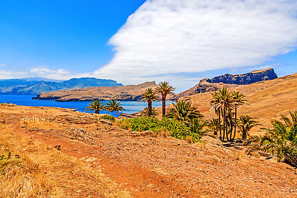 포토 JPG 해외이미지 구름 유럽 길 섬 여행 자국 자연 하늘 산 파노라마 풍경 사람없음 야외 여름 평화 걷기 와인 침묵 산책 트래킹 하이킹 자유 시골 황무지 포르투갈 언덕 그림 내추럴 산악지대 방법 선로 절정 해외202004 해외포토 자연요소 계절 나라 컨셉 모션 레저 휴식 주류 촬영기법 소리 생태계 파일형식 이미지허브