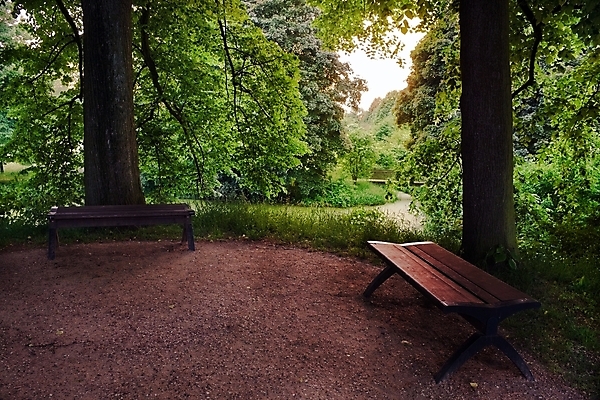 포토 JPG 해외이미지 나무 공원 여행 잎 벤치 휴식 독일 사람없음 목재 초록색 도시 그림 타운 카피스페이스 해외202004 해외포토 식물 공공시설 유럽 컬러 컨셉 의자 재료 공백 파일형식 이미지허브