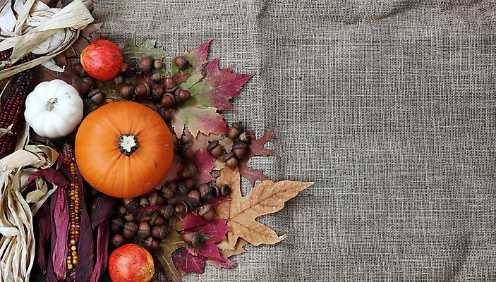 포토 JPG 해외이미지 전통 계절 백그라운드 잎 농업 자연 호박 휴가 옥수수 사람없음 장식 축제 할로윈 수확 가을 시골 삼베 도토리 추수감사절 카피스페이스 해외202004 해외포토 식물 산업 기독교 채소 곡류 공백 견과류 생태계 파일형식 천_직물 이미지허브