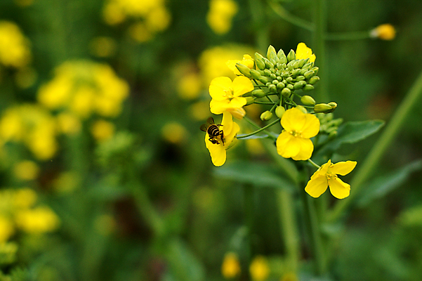 포토 JPG 해외이미지 사람없음 해외202004 해외포토 파일형식 이미지허브