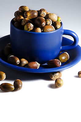 포토 JPG 해외이미지 나무 식물 접시 계절 야생동물 음식 백그라운드 잎 2 과일 자연 건조 씨앗 사람없음 목재 장식 컵 초록색 파란색 갈색 머그컵 견과류 성장 가을 흰색 나뭇가지 그룹 숲 작음 수집 오브젝트 유기농 도토리 내추럴 고립 숙성 해외202004 해외포토 동물 식기 웰빙 컬러 재료 크기 생태계 파일형식 이미지허브