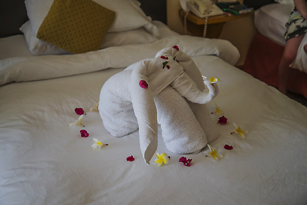 포토 JPG 해외이미지 모양 아이콘 디자인 일러스트 베개 추상 휴가 코끼리 미술 사람없음 그래픽 세트 수건 침실 흰색 침대 직물 심볼 사인 심플 시트 매트리스 엘리먼트 해외202004 해외포토 컬러 가구 무늬 포유류 침구 문화예술 위생용품 파일형식 이미지허브