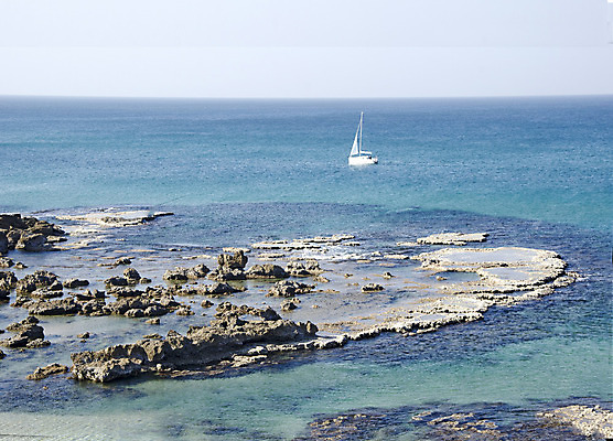 포토 JPG 해외이미지 바다 자연 조류 항해 해변 사람없음 야외 보트 함선 해외202004 해외포토 동물 배_교통 생태계 파일형식 이미지허브