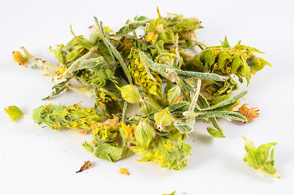 포토 JPG 해외이미지 식물 꽃잎 꽃 분홍색 백그라운드 꽃무늬 오렌지 자연 건조 건강 사람없음 야외 초록색 건강관리 정원 보라색 센터 닫기 정상 허브 묘사 유기농 원예 꽃가루 동쪽 고슴도치 보충 면역력 영원 치유 해외202004 해외포토 웰빙 컬러 무늬 과일 포유류 모션 관리 취미 가루 방향 생태계 파일형식 이미지허브