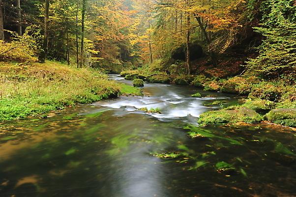 포토 JPG 해외이미지 나무 계절 공원 호수 백그라운드 잎 오렌지 자연 이끼 풍경 사람없음 야외 목재 빨간색 초록색 물 강 컬러풀 노란색 환경 흐름 가을 바위 시골 개울 황금 숲 작음 11월 장면 10월 내추럴 해외202004 해외포토 자연요소 식물 공공시설 컬러 컨셉 과일 재료 돌_바위 날짜 크기 생태계 파일형식 이미지허브