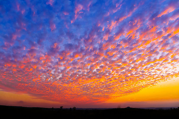 포토 JPG 해외이미지 구름 여행 백그라운드 자연 하늘 아침 파노라마 풍경 사람없음 파란색 빛 컬러풀 햇빛 태양 노란색 일출 어둠 황혼 일몰 새벽 시골 장면 스카이라인 내추럴 흥미 수평선 해외202004 해외포토 주간 자연요소 컬러 컨셉 촬영기법 노을 생태계 파일형식 이미지허브