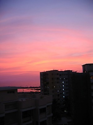 포토 JPG 해외이미지 분홍색 하늘 주택 사람없음 건물 보라색 일몰 도시 해외202004 해외포토 건축물 컬러 노을 파일형식 이미지허브