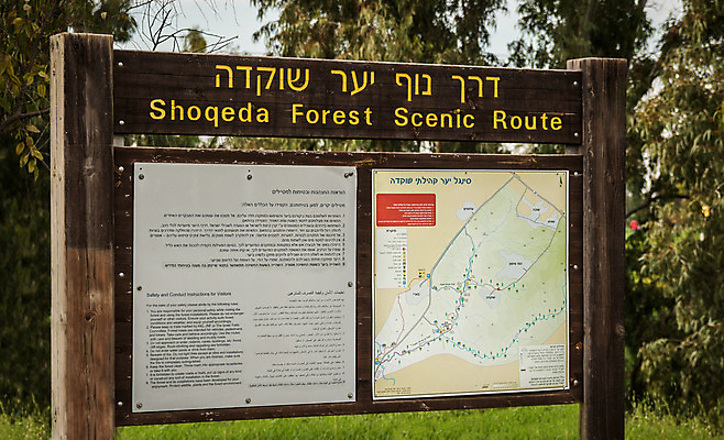 포토 JPG 해외이미지 나무 영어 공원 길 여행 지도 자국 자연 휴가 국립공원 풍경 사람없음 야외 목재 갈색 환경 산책 하이킹 금지 정보 예절 보호 숲 지중해 심볼 흔적 사인 규칙 사이클링 내추럴 건너기 돌봄 루트 보호구역 생태학 이스라엘 전국 해외202004 해외포토 식물 문자 공공시설 교육 바다 컬러 컨셉 재료 모션 레저 휴식 육상스포츠 생태계 서아시아 구역 파일형식 이미지허브