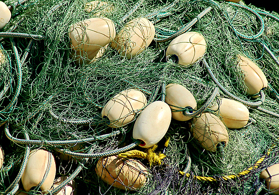 포토 JPG 해외이미지 산업 바다 낚시 어류 사람없음 그물 해외202004 해외포토 레저 수중동물 파일형식 이미지허브