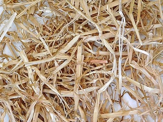 포토 JPG 해외이미지 식물 음식 백그라운드 밭 농업 자연 사람없음 여름 농작물 농장 노란색 쌓기 수확 시골 볏짚 시리얼 밀 질감 밀짚 해외202004 해외포토 계절 산업 컬러 모션 곡류 짚 생태계 파일형식 이미지허브