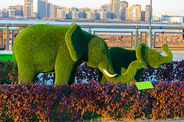 포토 JPG 해외이미지 모양 나무 식물 동물 디자인 공원 조각 여행 백그라운드 잎 건축양식 자연 코끼리 파노라마 미술 풍경 잔디 사람없음 야외 장식 초록색 여름 정원 맑음 봄 흰색 붓 냄비 작음 심볼 분수 멸종위기동물 내추럴 매머드 고립 전국 해외202004 해외포토 계절 공공시설 건축 컬러 포유류 날씨 문화예술 촬영기법 솥 크기 생태계 파일형식 멸종위기종 이미지허브