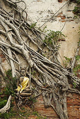 포토 JPG 해외이미지 나무 전통 아시아 종교 문화 얼굴 조각 여행 백그라운드 패턴 불교 태국 휴식 미술 동양인 사람없음 조각상 평화 믿음 중국 골동품 기도 표현 사찰 인도인 심볼 명상 뿌리 숭배 신앙심 해외202004 해외포토 외국인 식물 감정 나라 컨셉 무늬 종교건축 문화예술 인종 신체부위 조형물 파일형식 이미지허브