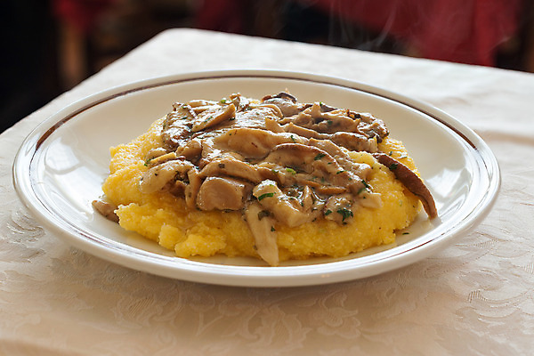 포토 JPG 해외이미지 접시 음식 백그라운드 건강 육류 옥수수 요리 사람없음 빨간색 노란색 식사 저녁식사 버섯 이탈리아 흰색 뜨거움 굽기 먹기 허브 밀가루 점심식사 바이오 해외202004 해외포토 식물 식기 유럽 컬러 식재료 모션 곡류 가루 구이 파일형식 이미지허브