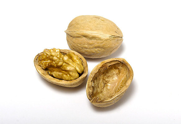 포토 JPG 해외이미지 전신 라이프스타일 음식 백그라운드 채소 부분 자연 사람없음 견과류 흰색 그룹 변화 횡단보도 먹기 유기농 호두 개성 멀리 나눔 건강식 고립 깨짐 꼬투리 해외202004 해외포토 웰빙 컬러 컨셉 모션 생활 보행로 생태계 파일형식 이미지허브