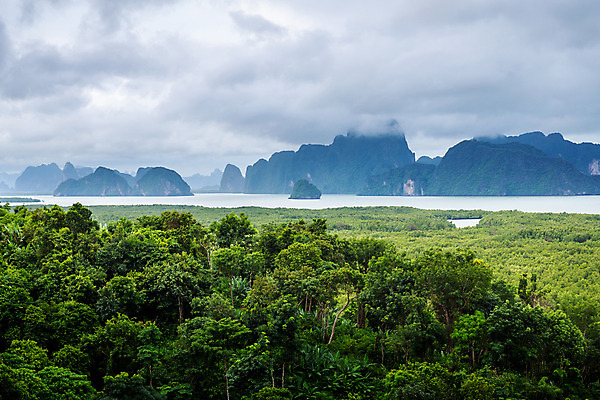 포토 JPG 해외이미지 나무 식물 구름 공원 아시아 바다 섬 태국 자연 날씨 산 파노라마 풍경 사람없음 초록색 강 환경 연못 신선 만 숲 열대우림 내추럴 강렬 해외202004 해외포토 자연요소 공공시설 나라 컬러 촬영기법 생태계 파일형식 이미지허브
