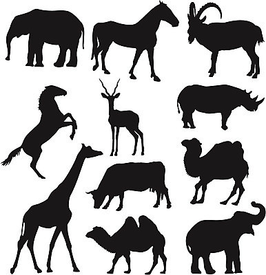 EPS 해외이미지 동물 디자인 실루엣 야생동물 여행 백그라운드 일러스트 포유류 아프리카 자연 염소 코끼리 동물원 농장 걷기 검은색 그룹 소 큼 수집 기린 심볼 사파리 영양 낙타 케냐 코뿔소 사하라 동물상 사바나 해외202004 해외일러스트 나라 컬러 농업 모션 촬영기법 조형물 사막 크기 생태계 파일형식 벡터 이미지허브