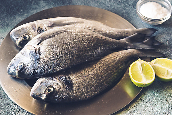 포토 JPG 해외이미지 접시 사람없음 레몬 날것 도미 라임 해외202004 해외포토 식기 과일 어류 파일형식 이미지허브