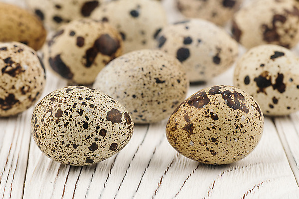 포토 JPG 해외이미지 식물 전통 계절 음식 백그라운드 컨셉 패턴 자연 부활절 건강 사람없음 목재 컬러풀 갈색 계란 껍질 흰색 닫기 아침식사 상품 작음 먹기 심볼 오브젝트 질감 날것 심플 메추리 취급주의 해외202004 해외포토 나무 기념일 컬러 무늬 재료 모션 경고 알 식사 크기 생태계 파일형식 이미지허브