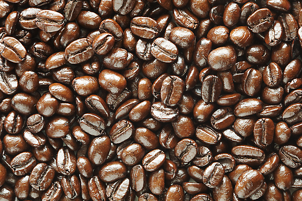 포토 JPG 해외이미지 커피 음료 음식 백그라운드 패턴 농업 재료 자연 아침 추상 콩 씨앗 사람없음 농작물 갈색 우주 식당 검은색 어둠 카페 에너지 신선 양념 그룹 황금 맛 아침식사 큼 굽기 향신료 오브젝트 질감 향기 슛 결 카푸치노 에스프레소 모카 카페인 많음 효과 해외202004 해외포토 주간 식물 산업 컬러 컨셉 무늬 곡류 상점 식사 크기 구이 생태계 냄새 향미료 파일형식 이미지허브