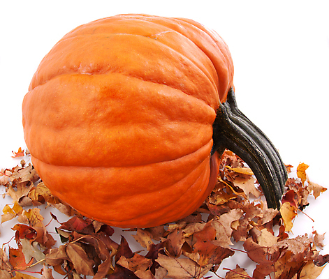 포토 JPG 해외이미지 음식 잎 오렌지 호박 건조 사람없음 할로윈 가을 신선 스쿼시 해외202004 해외포토 식물 계절 스포츠 채소 과일 구기 파일형식 이미지허브