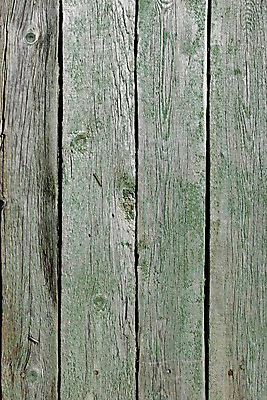 포토 JPG 해외이미지 나무 디자인 외관 벽 백그라운드 패턴 표면 날씨 추상 프레임 건조 사람없음 야외 초록색 울타리 농장 문 칠판 손상 회색 껍질 시골 판넬 얼룩 거친 그리기 떨어짐 널 가득함 묘사 질감 매듭 방패 염색 내추럴 평행 구식 그런지 깨짐 수목 옛날 해외202004 해외포토 식물 컬러 컨셉 무늬 농업 모션 담장 파일형식 이미지허브