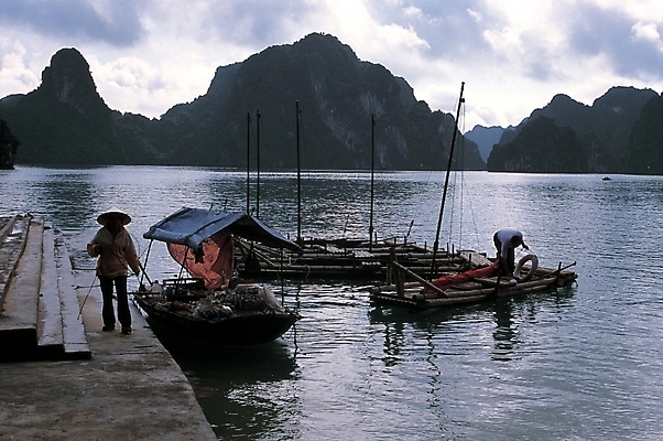 포토 JPG 주간 아시아 교통수단 바다 외국문화 섬 여행 교통 수상교통 산 어업 동양인 풍경 야외 가로 항구 어선 어부 베트남 베트남문화 선박 국내포토 자연요소 직업 동양문화 나라 산업 문화 배_교통 교통시설 인종 동남아시아 파일형식