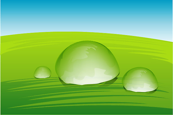 EPS 식물 백그라운드 잎 일러스트 자연 나뭇잎 사람없음 야외 물 물방울 풀잎 이슬 아침이슬 국내일러스트 자연요소 풀_식물 생태계 파일형식 벡터