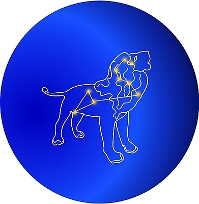 EPS 클립아트 동물 척추동물 육지동물 별 일러스트 포유류 사람없음 우주 별자리 운세 사자 사자자리 국내일러스트 자연요소 파일형식 벡터