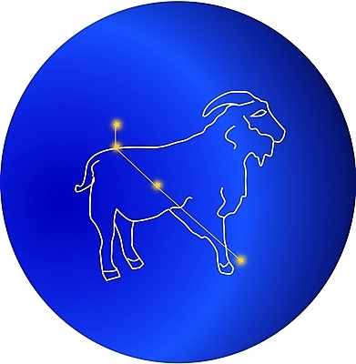 EPS 클립아트 동물 척추동물 육지동물 별 일러스트 포유류 염소 사람없음 우주 별자리 운세 염소자리 국내일러스트 자연요소 파일형식 벡터