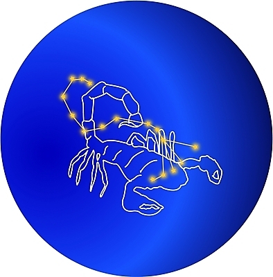 EPS 클립아트 별 절지류 일러스트 사람없음 우주 별자리 운세 전갈 전갈자리 국내일러스트 자연요소 동물 파일형식 벡터