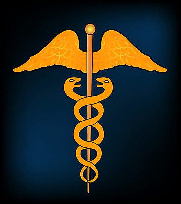 EPS 클립아트 동물 문양 무늬 일러스트 사람없음 뱀 동물문양 국내일러스트 파충류 파일형식 벡터