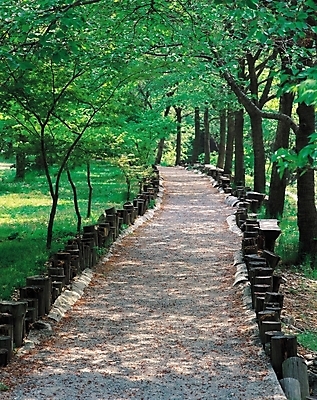 포토 JPG 주간 나무 식물 길 벤치 의자 자연 산 풍경 사람없음 야외 울타리 산책로 원근감 숲속 숲 통나무 국내포토 자연요소 뷰포인트 가구 담장 생태계 파일형식