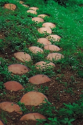 포토 JPG 주간 식물 길 자연 풍경 사람없음 야외 계단 산책로 원근감 풀 나무계단 국내포토 자연요소 뷰포인트 생태계 파일형식