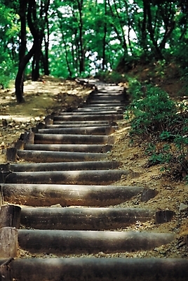 포토 JPG 주간 나무 식물 길 자연 산 풍경 사람없음 야외 아웃포커스 계단 산책로 원근감 숲속 숲 오르막 나무계단 국내포토 자연요소 뷰포인트 촬영기법 생태계 파일형식