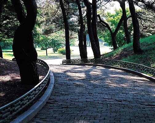 포토 JPG 주간 나무 식물 공원 길 자연 풍경 사람없음 야외 울타리 햇빛 산책로 원근감 소나무 커브길 그늘 국내포토 자연요소 공공시설 도로 뷰포인트 담장 태양 생태계 파일형식