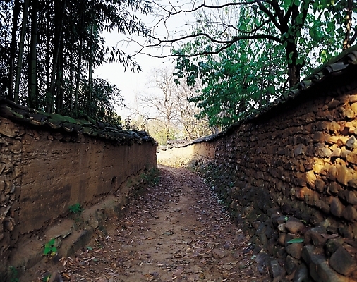 포토 JPG 주간 나무 식물 길 벽 자연 돌담 기와 풍경 사람없음 야외 담장 산책로 원근감 그늘 대나무 돌담길 토담 흙담 흙벽 국내포토 자연요소 뷰포인트 돌_바위 생태계 파일형식