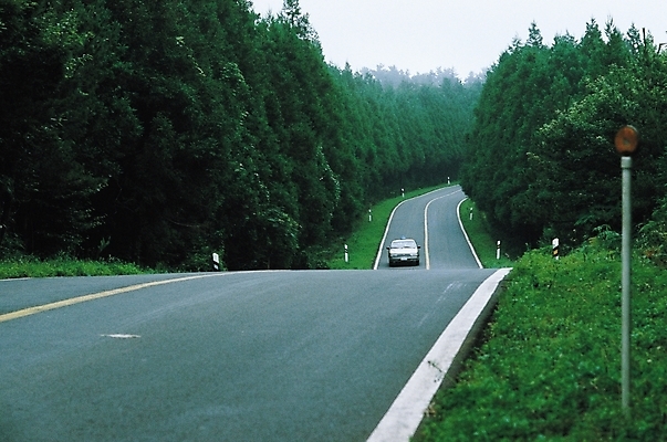 포토 JPG 주간 나무 식물 시설물 현대건축 건축 도로 길 육상교통 교통수단 교통 한대 교통시설 자동차 자연 산 대중교통 풍경 사람없음 야외 원근감 차도 숲 아스팔트 가로수 택시 차선_도로 국내포토 자연요소 1 건축물 뷰포인트 승용차 시설 생태계 파일형식