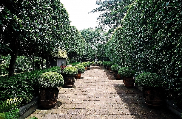 포토 JPG 주간 나무 식물 공원 화분 길 자연 풍경 사람없음 야외 정원 산책로 원근감 조경 국내포토 자연요소 공공시설 뷰포인트 생태계 파일형식