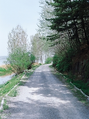 포토 JPG 주간 나무 식물 시설물 현대건축 건축 도로 길 자연 그림자 풍경 사람없음 야외 산책로 원근감 비포장도로 국내포토 자연요소 건축물 뷰포인트 교통시설 생태계 파일형식