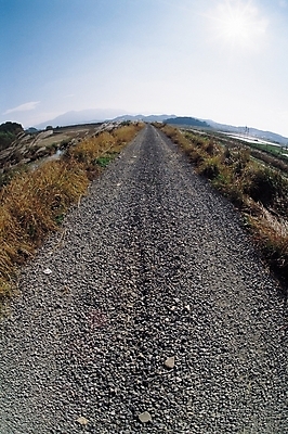 포토 JPG 주간 나무 식물 구름 길 자연 하늘 산 갈대 풍경 사람없음 야외 원근감 돌_바위 조약돌 비포장도로 자갈길 국내포토 자연요소 도로 뷰포인트 생태계 파일형식