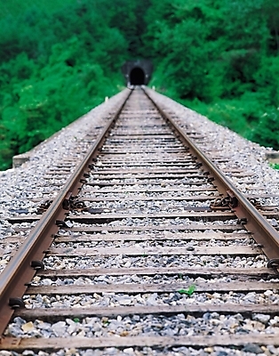 포토 JPG 주간 나무 식물 시설물 공공시설 현대건축 건축 길 교통시설 자연 산 풍경 사람없음 야외 아웃포커스 기찻길 원근감 터널 철도의날 국내포토 자연요소 건축물 뷰포인트 교통 촬영기법 시설 생태계 파일형식 법정기념일