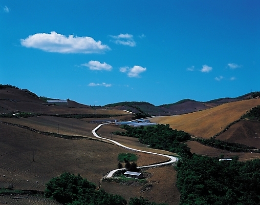 포토 JPG 주간 나무 식물 구름 길 밭 자연 하늘 산 주택 풍경 사람없음 야외 농촌 시골 커브길 비닐하우스 국내포토 자연요소 도로 농업 건물 생태계 파일형식