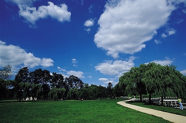 포토 JPG 주간 나무 식물 구름 공원 길 자연 하늘 한명 풍경 잔디 초원 야외 울타리 산책로 원근감 커브길 국내포토 자연요소 1 공공시설 도로 뷰포인트 사람 담장 생태계 파일형식