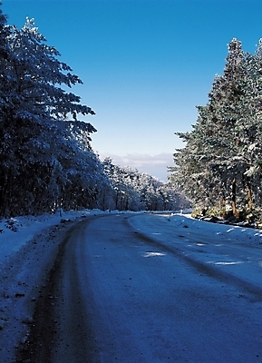 포토 JPG 주간 나무 식물 구름 시설물 계절 현대건축 건축 도로 길 설경 겨울 자연 하늘 산 눈꽃 풍경 사람없음 야외 햇빛 원근감 눈 커브길 숲 국내포토 자연요소 건축물 뷰포인트 교통시설 날씨 눈_날씨 태양 생태계 파일형식