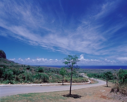 포토 JPG 주간 나무 식물 구름 시설물 현대건축 건축 도로 길 바다 자연 하늘 산 풍경 사람없음 야외 원근감 커브길 국내포토 자연요소 건축물 뷰포인트 교통시설 생태계 파일형식
